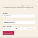 Payments for Elementor payment form